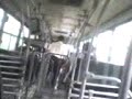 agora eu e o jocean indo pro cursinho num dia de dil�vio...isso um dia acabar�, voc�s ver�o! ;d