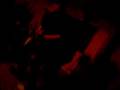 videos de THANKSGIVING PARTY