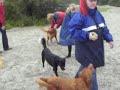 Tollerforumwandeling Tollerforumwandeling