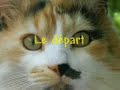 Entraigues 2007 - 1�re partie