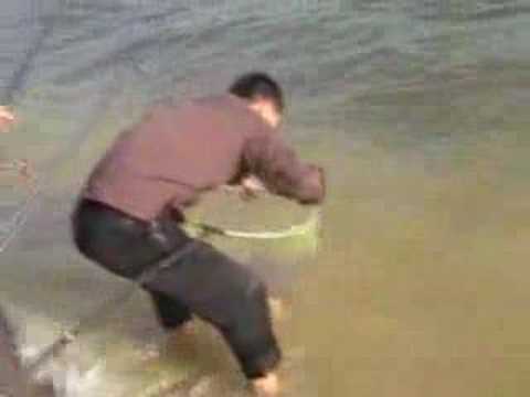 Fishing In China Anshan