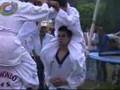 taekwondo exhib 1