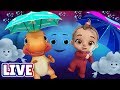 Rain Rain Go Away & Many More Baby Songs & 3D Nursery Rhymes by ChuChu TV – LIVE Stream Rain Rain Go Away & Many More Baby Songs & 3D Nursery Rhymes by ChuChu TV – LIVE Stream
