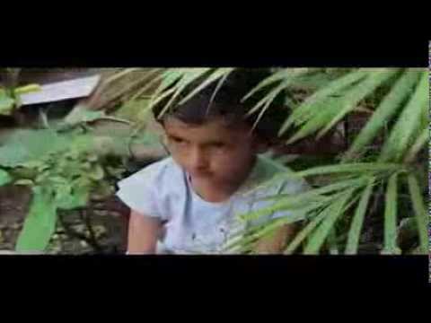 Uncle Teddy short film Uncle Teddy short film
