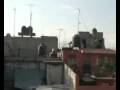 videos de roofball