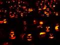 Pumpkin Jack O' Lantern Record 2006 Boston