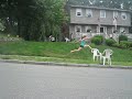 jumping 23 feet.. one stride
