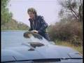 Knight Rider - Eine der bekanntesten Serien überhaupt (Tributes / Tribute)