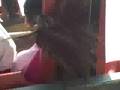 powder keg - back seat- silver dollar city