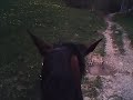 G�g� et la nature