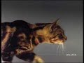 Funny DHL Commercial