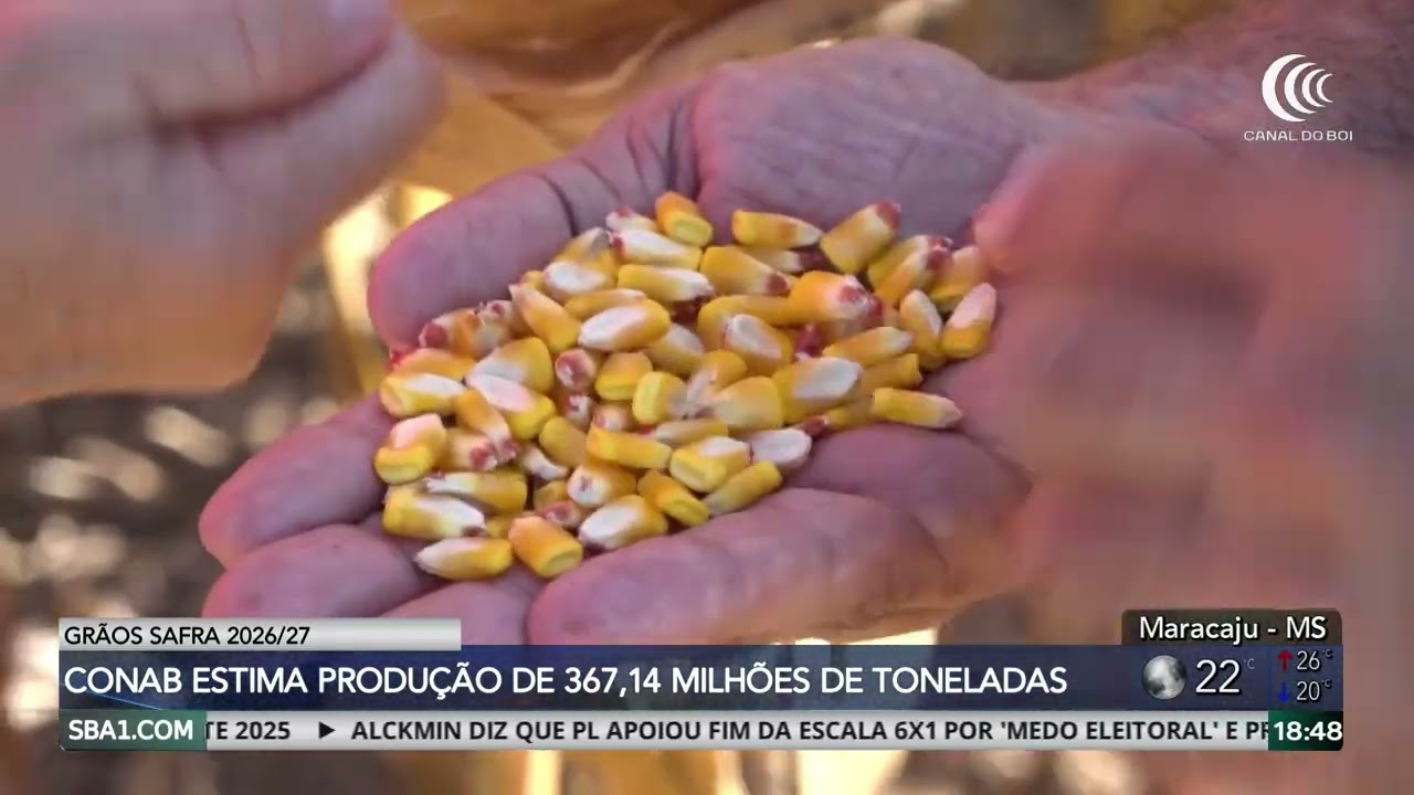 Conab estima produção de 367,14 milhões de toneladas de grãos na safra 2026/27
