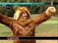 Carod VS Puigcercós
