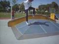 skate(silves)