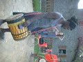 Mamafrica2009
