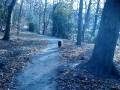 videos de Dogbook Movie: 