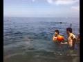 divertimento a meta