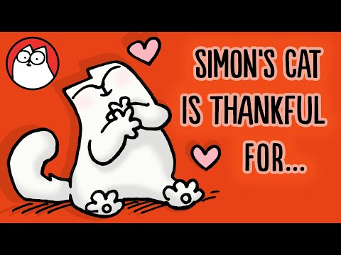 Play this video THINGS SIMON39S CAT IS THANKFUL FOR Thanksgiving Collection
