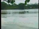 This is Your Land English Trailer This is Your Land English Trailer