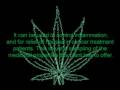 Marijuana Facts (Legalize It!) Marijuana Facts (Legalize It!)