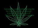 Marijuana Facts (Legalize It!)