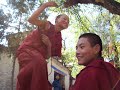 Jovenes monjes tibetanos en debate Jovenes monjes tibetanos en debate