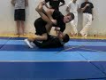 COUNTERSTRIKE MMA DIESEL BJJ Coach VS THE BLACK MAMBA COUNTERSTRIKE MMA DIESEL BJJ Coach VS THE BLACK MAMBA