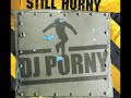 third single by dj porny called 'still horny', the song is co-produced by german dj team topmodelz. 
the album version is available on his album 'porny people'. there is no official video for this song so i made my own using video material i found of dj porny on the web. enjoy!