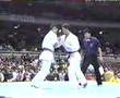 Ryu Narushima