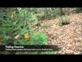 Maine Primitive Skills School - Spirit of the Hunt class '09