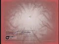 CoD4 - Dominated 6