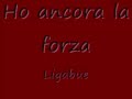 Ho ancora la forza - Ligabue
