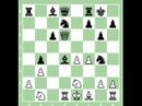 Game of chess (3)
