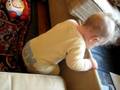 Junebug learns the pullup