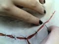 caractericacion chonis