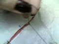 caractericacion chonis