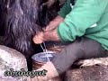 Çor yayla - Ezem Çor yayla - Ezem