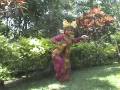 iPhone soft(Power Ubud) Yuliati reserved photography 3