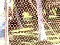 LA ISLA DE MENDEZ,,,Corral de mulas.wmv