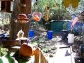 Tranquility: Bird Alarm Vocals 2013.02.21 (FeederWatch): http://youtu.be/qt6yLJqbpDM?a via @YouTube