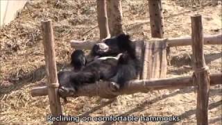 Spread Some Bear Love!