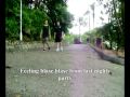 Katchafire - Get Away (Trabalho de Ingles)