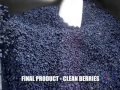 Criveller Automatic Sorting System High)