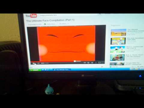 nick jr games nick jr games