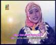 sepohon kayu