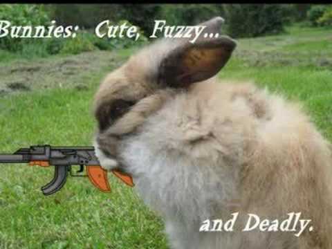 animals with guns funny. animalswithguns funny