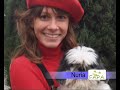 Un millon de animales abandonados