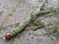 what gustav did to the city of baton rouge