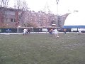 www.quasigol.it - Bassfamass: gol di Varriale