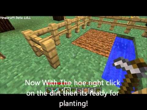 how to plant in minecraft